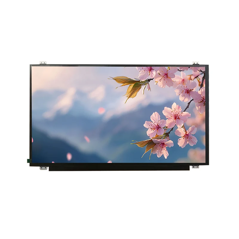 15,6 'HD TEMP IPS TFT LCD Module