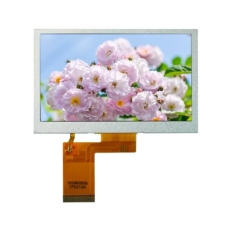 4.3 'Module d'écran LCD BOE Glass TN TN