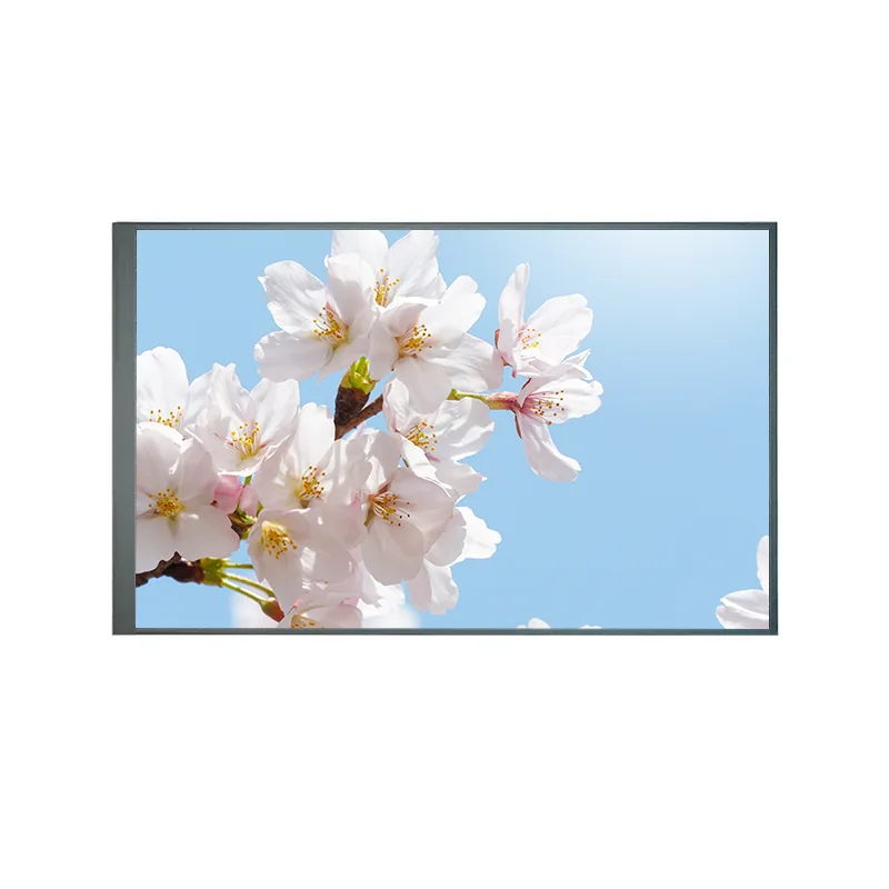 8,0 pouces normalement en arrière TFT IPS TFT LCD Module