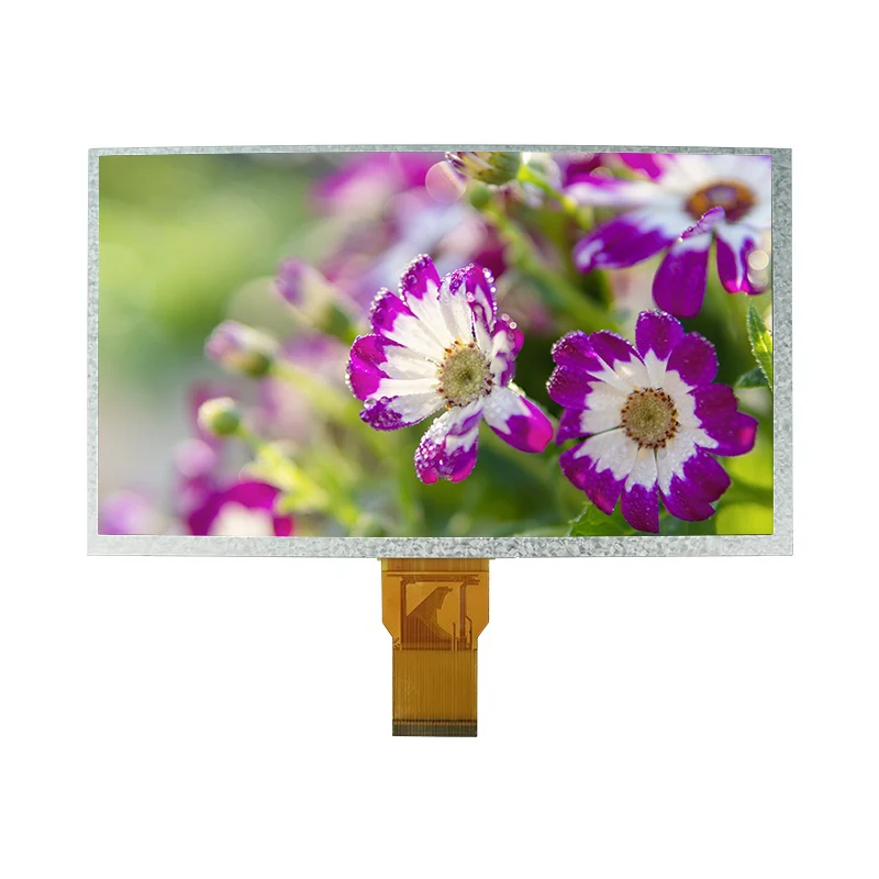 Module d'affichage LCD TFT de couleur transmissive 9.0 '